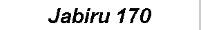 Text Box: Jabiru 170